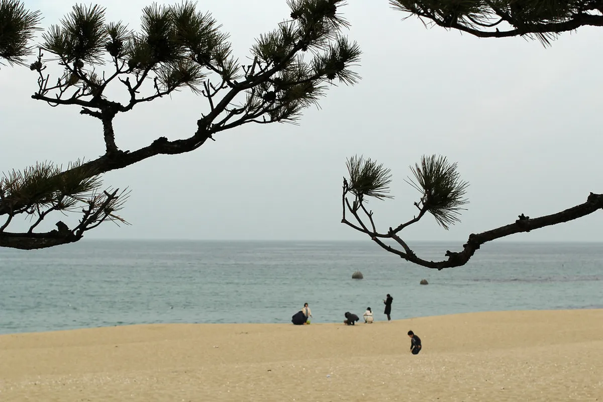 Anmok Beach in Gangneung