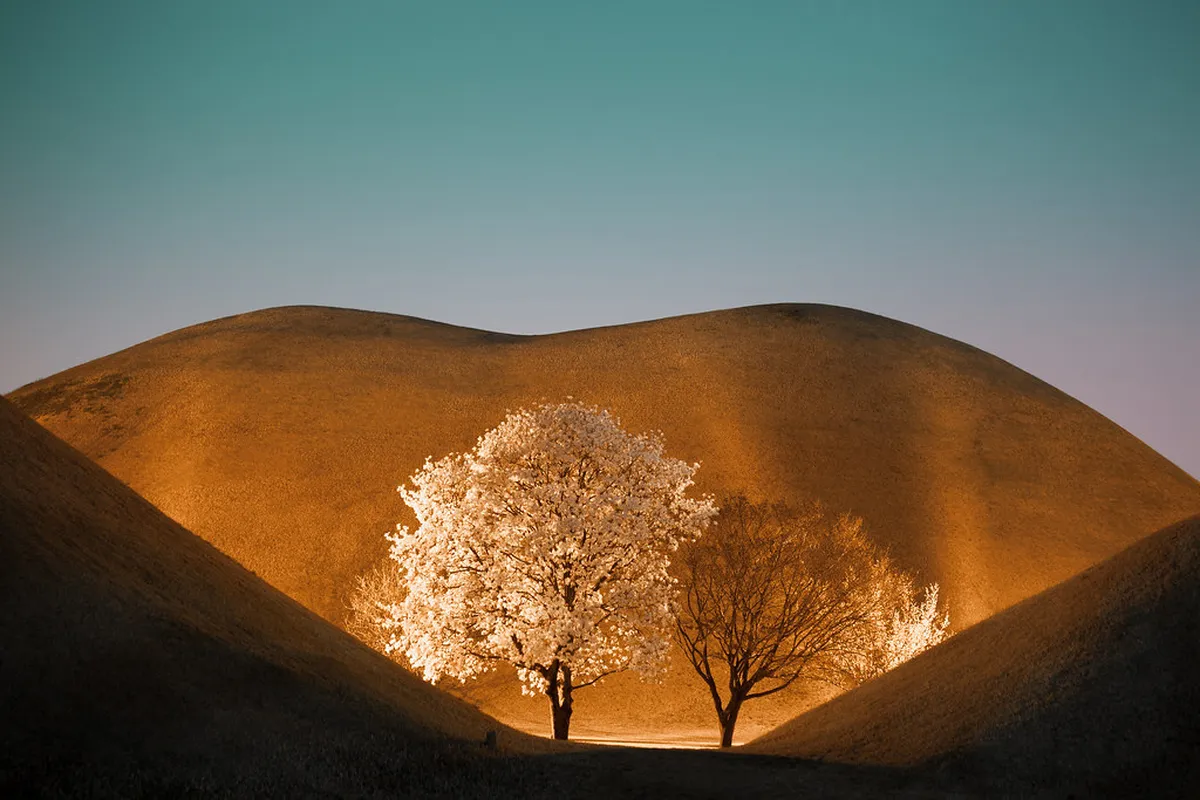Daereungwon Tomb Complex in Gyeongju